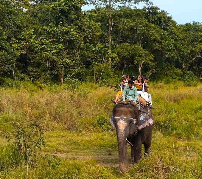 chitwan-jungle-safari-1748242219.avif