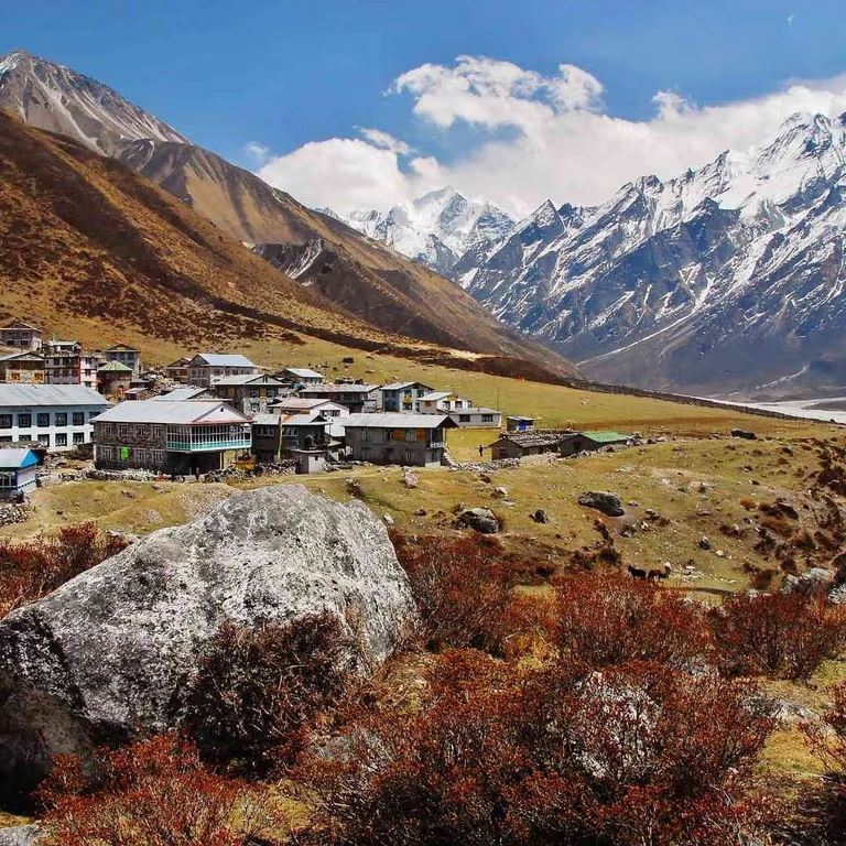 langtang-valley-trek-2.webp
