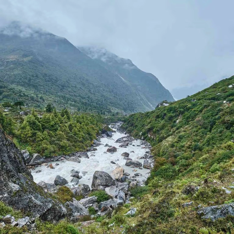 langtang-valley-trek-3.webp