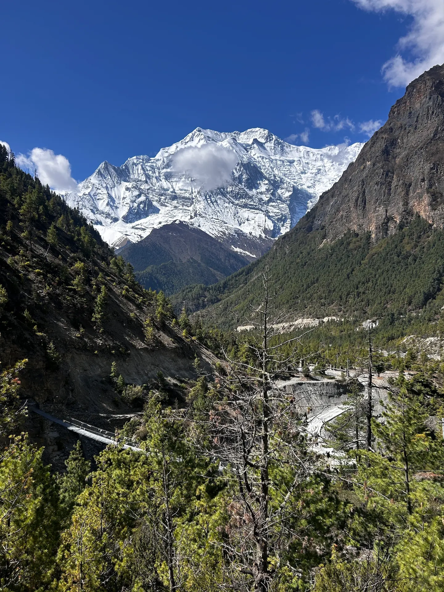 mt-annapurna-ii.webp
