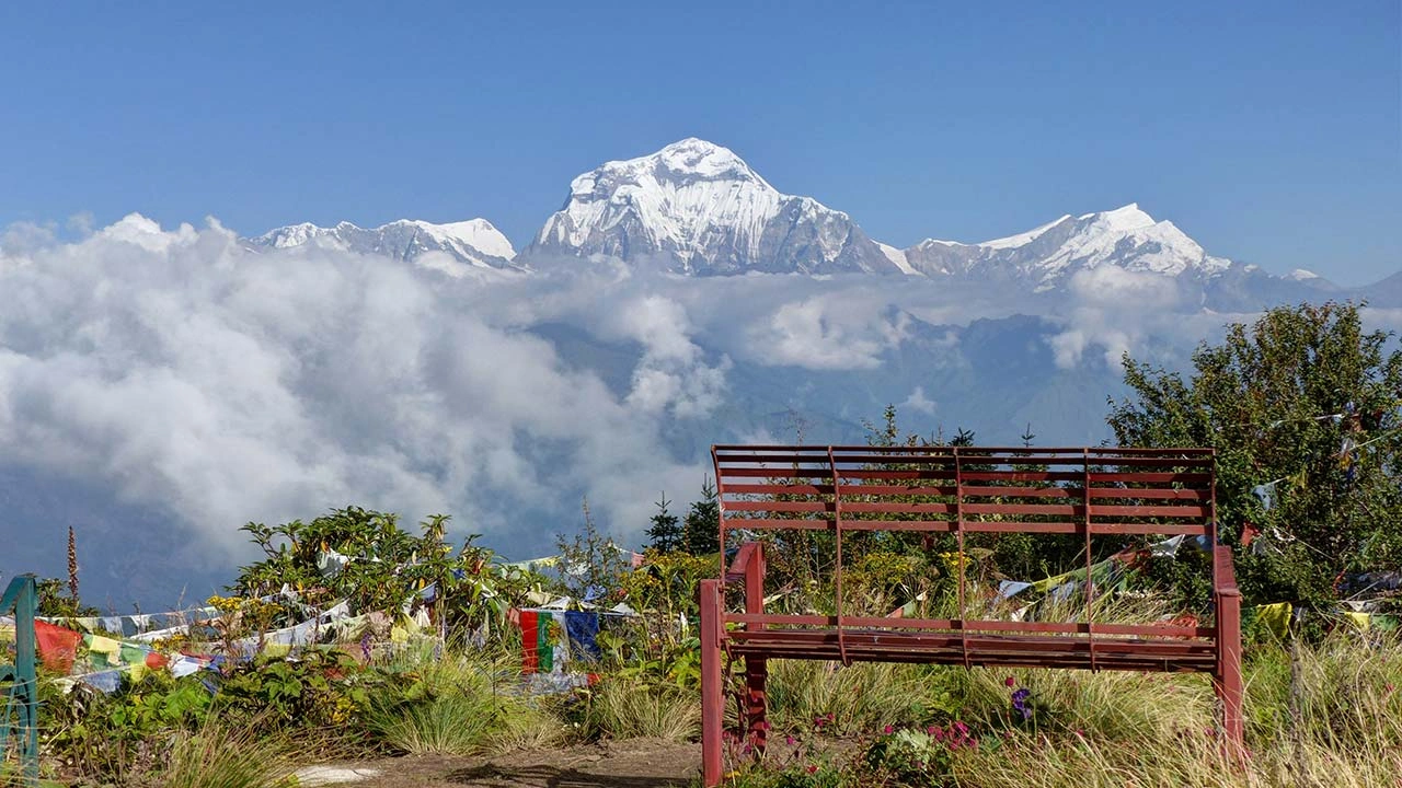 poon-hill-trek-5-days-3.webp